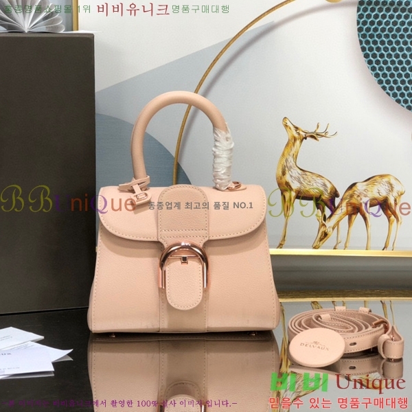 #���� �긮�ӹ� �̴� DV0020-2