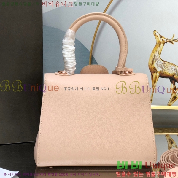 #���� �긮�ӹ� �̴� DV0020-2