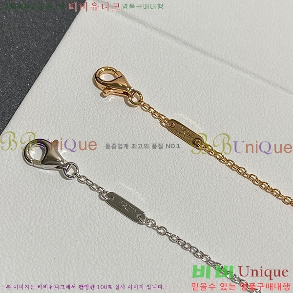 ������ ���� FR31025