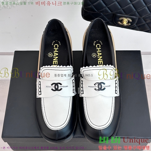 ���� ���� ���� C238241251-1