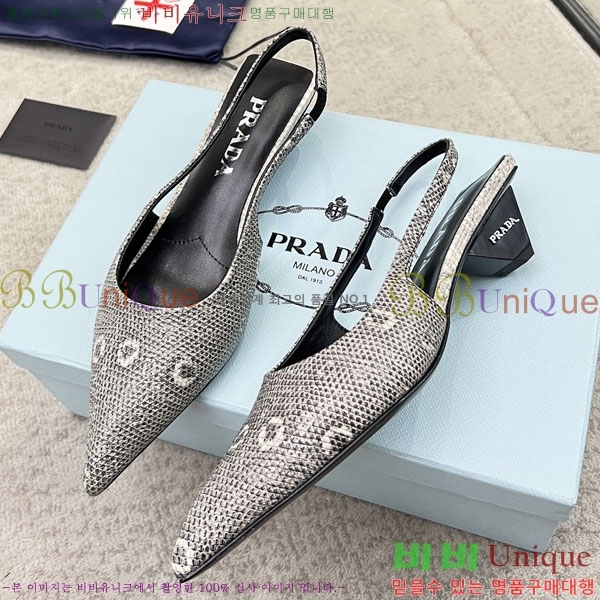 ����� ������ P4110016-2