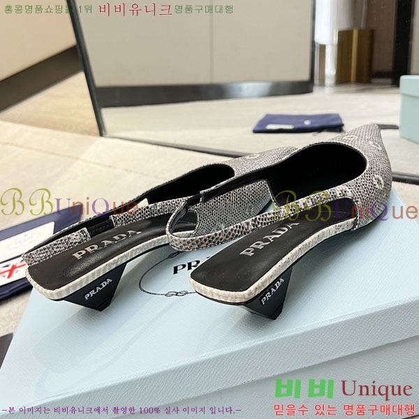 ����� ������ P4110016-2