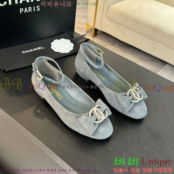 ���� ���� ������ C236481-1