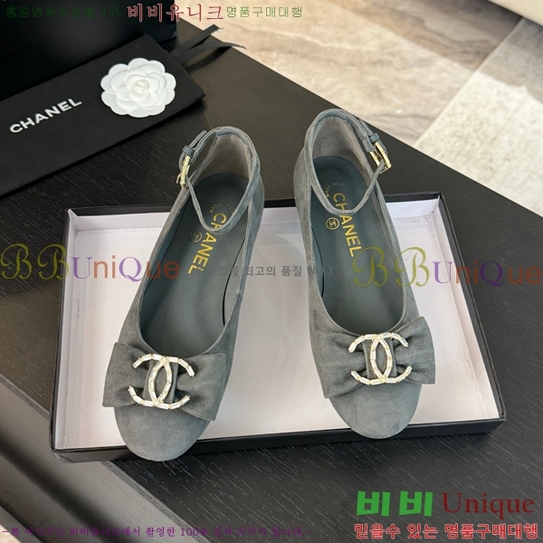 ���� ���� ������ C236481-1