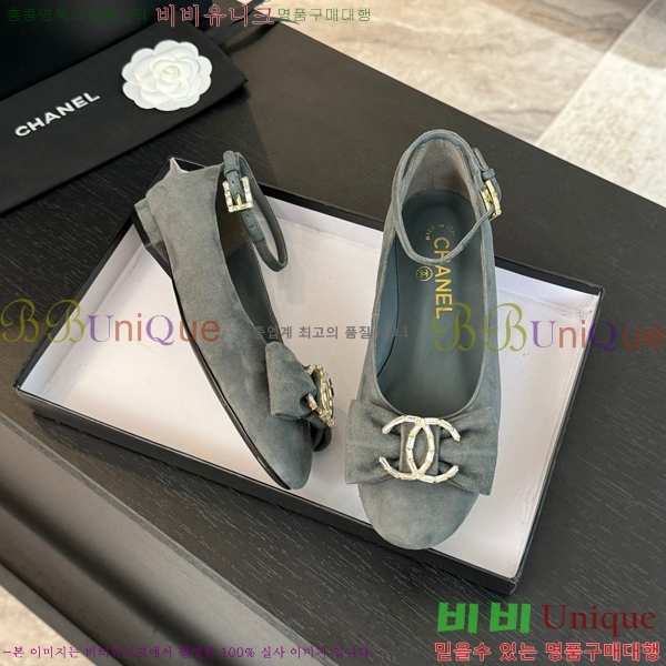 ���� ���� ������ C236481-1