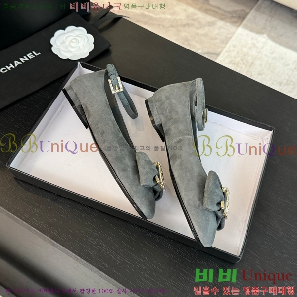 ���� ���� ������ C236481-1