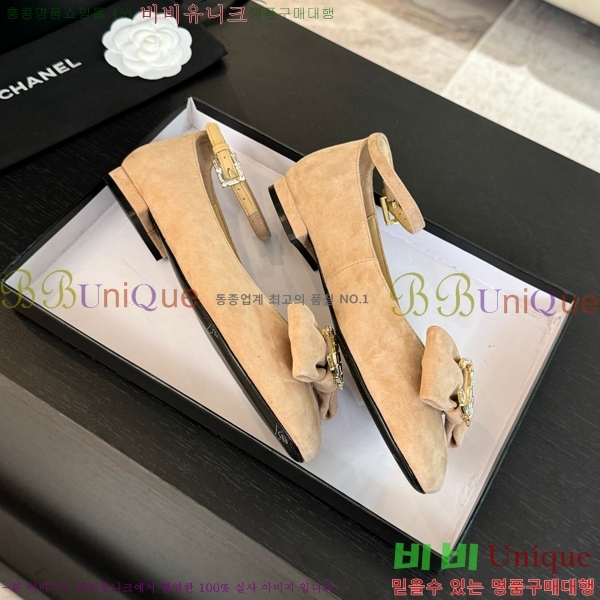 ���� ���� ������ C236481-2