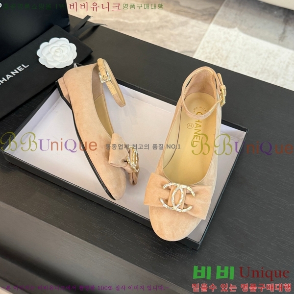 ���� ���� ������ C236481-2