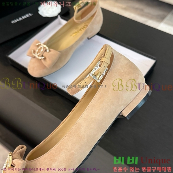 ���� ���� ������ C236481-2