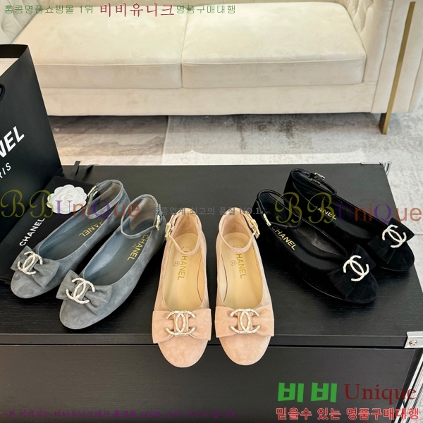 ���� ���� ������ C236481-2