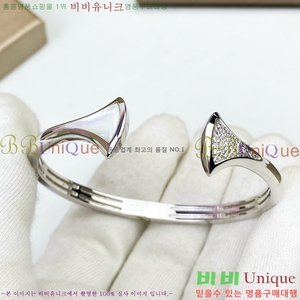 �Ұ��� ���� BVL952209-1