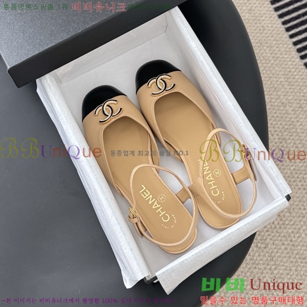 ���� Ŭ���� ������ �÷����� 31CH253835-2