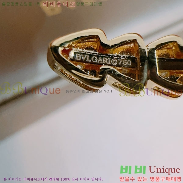 �Ұ��� ���� BVLG921129-1