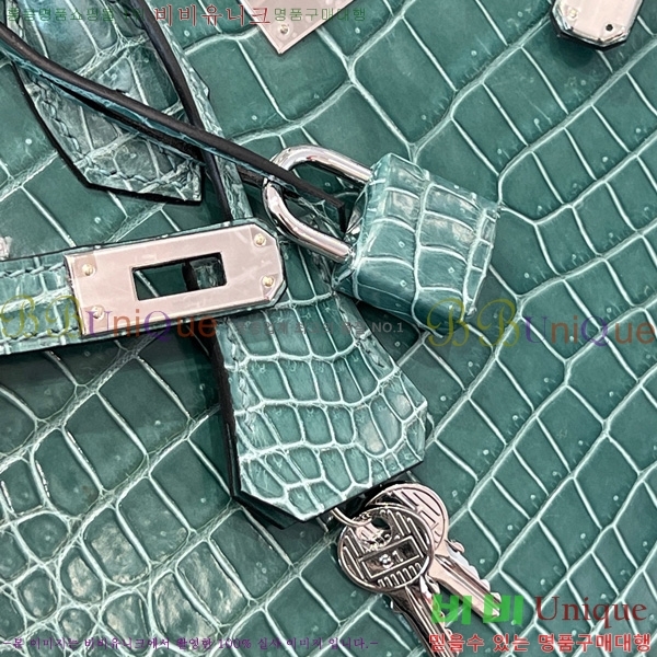 #�����޽� ��Ų�� 25 hcp moreletii crocodile 35HE856621-1005