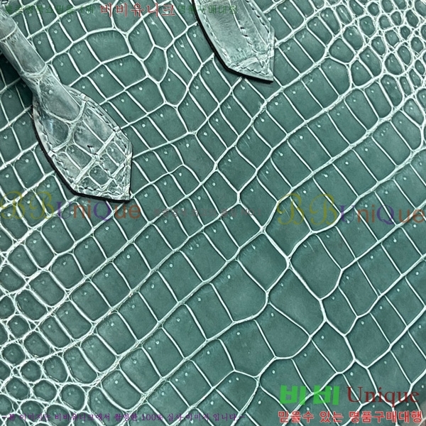 #�����޽� ��Ų�� 25 hcp moreletii crocodile 35HE856621-1005