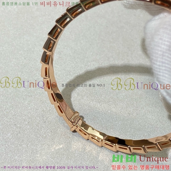 ���� �Ұ��� ���� BV1111244-1