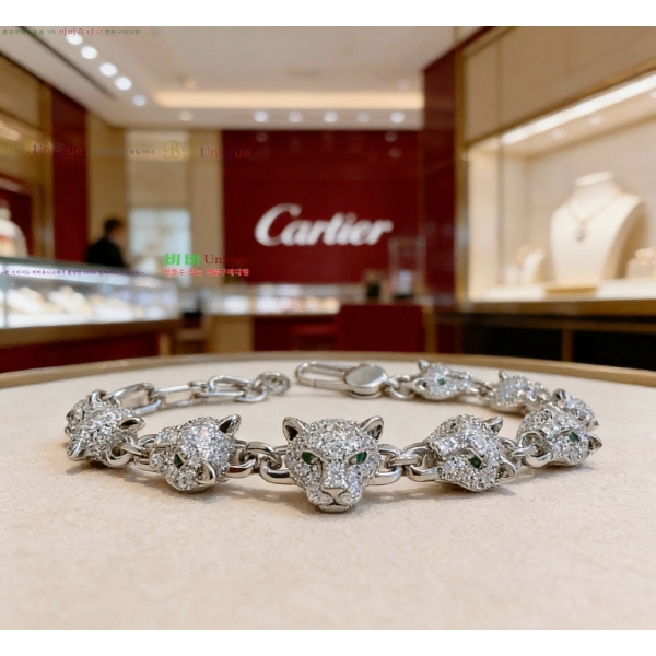 �������� ��쿡 ���� CA3434507-5