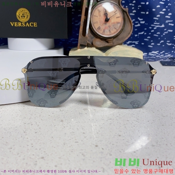 ������ü ���۶� VE102301-5