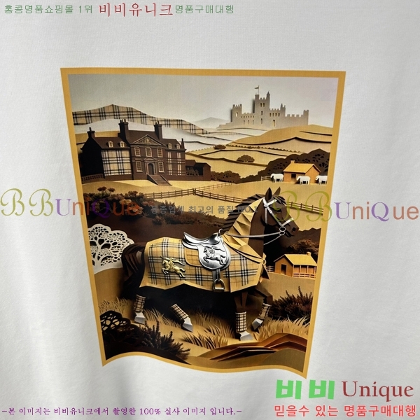 ���� ������ ���� Ƽ���� B864984-2