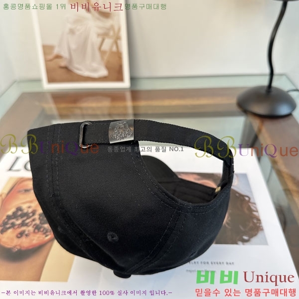 ����*ü ���� V86421-1