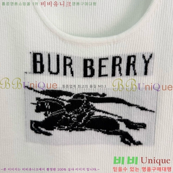 ���� ������ �μҸ�/����BU434530-1