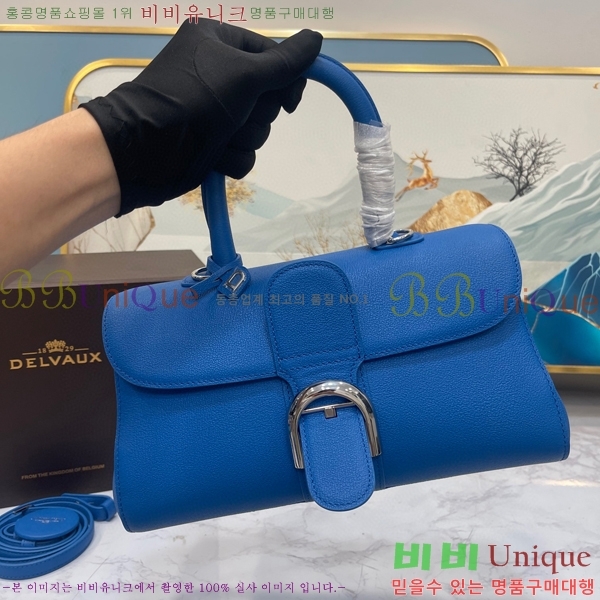 #���� �긮�ӹ� DS0028-2