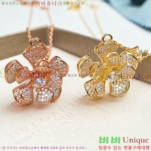 �Ұ��� ����� BV501443-5