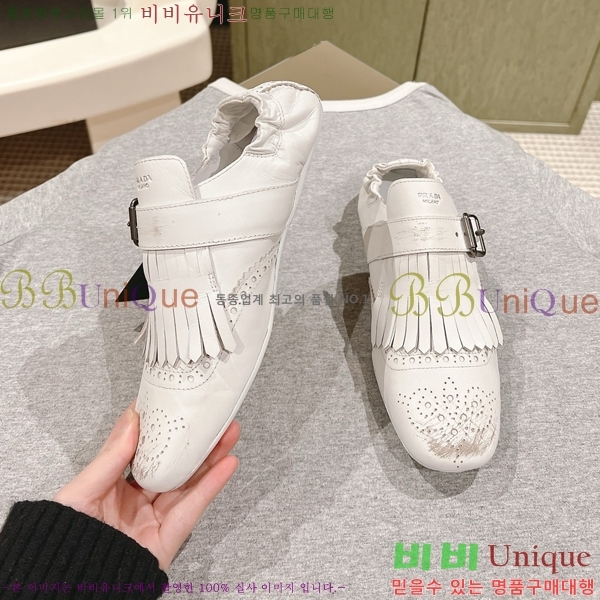 ���� ����� ������ PR522448-4