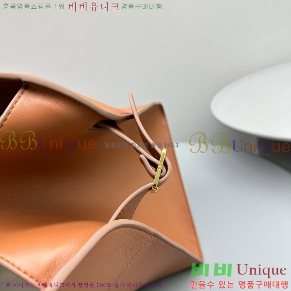 # ο  17 Ʈ 1831-1738