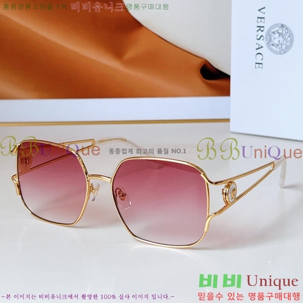 ������ü ���۶� VE102292