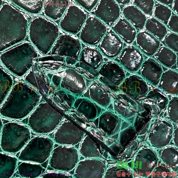 #�����޽� ��Ų�� 25 hcp moreletii crocodile 35HE856621-1006