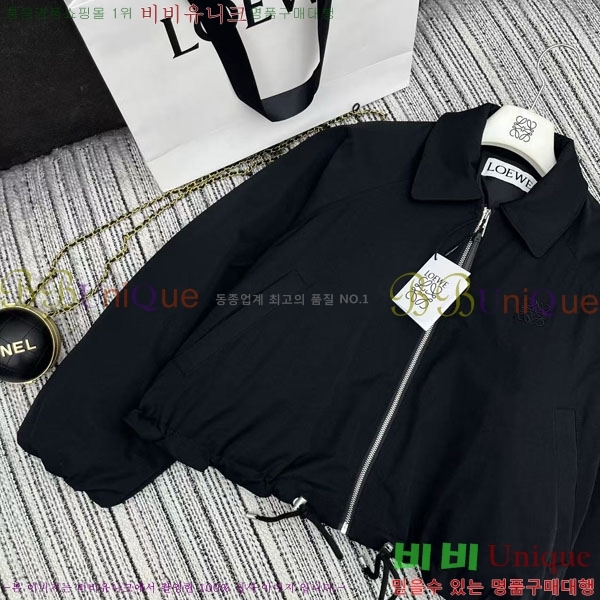 ���� �ο��� �ٿ� �е� LOEWE231230-1