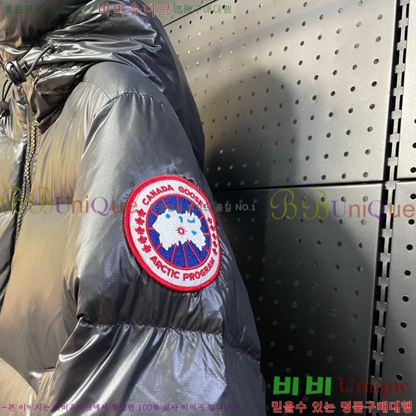  ĳٱ ٿ е CAG23088-1