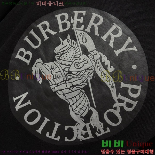 ���� ������ �ĵ�Ƽ BU517095-1