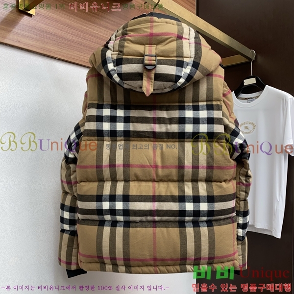 ���� ������ �е� B96763