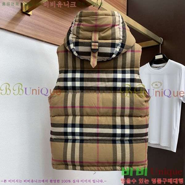 ���� ������ �е� B96763