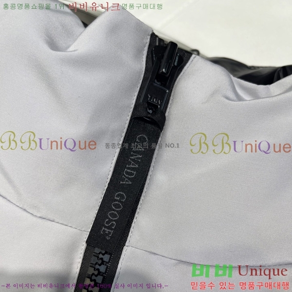  ĳٱ ٿ е   CAG53070-1