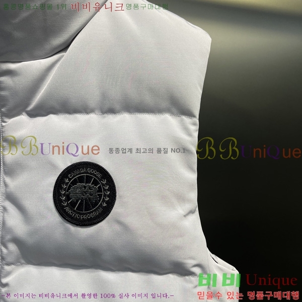  ĳٱ ٿ е   CAG53070-1