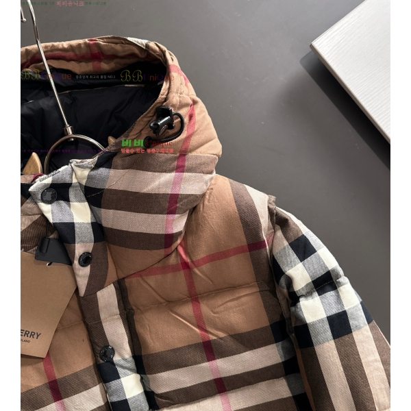 ���� ������ �ٿ� �е� BU218379