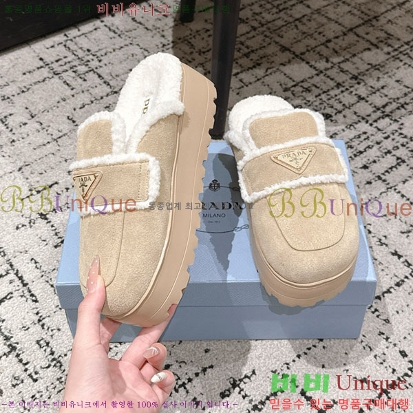 ���� ����� �� ������ P5560221-4