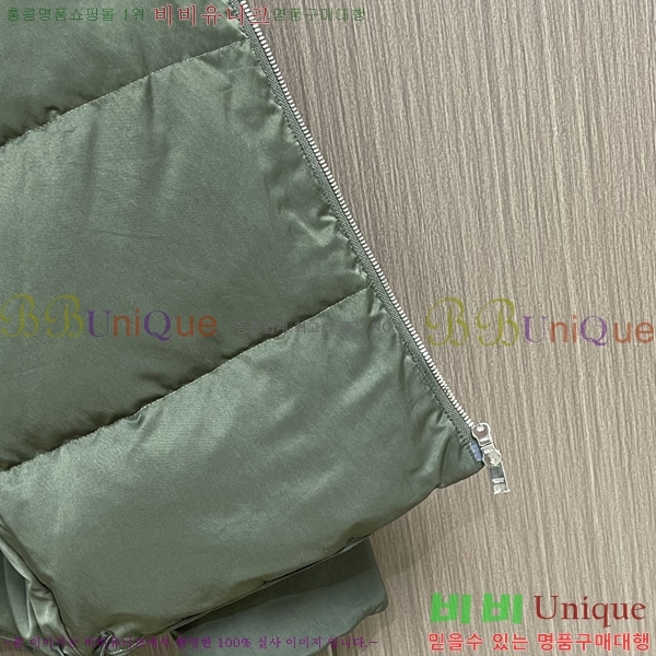 ���� ���װ�����Ÿ �е� ���� BV255155