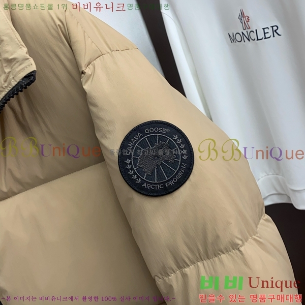  ĳٱ ٿ е CAG157488-1