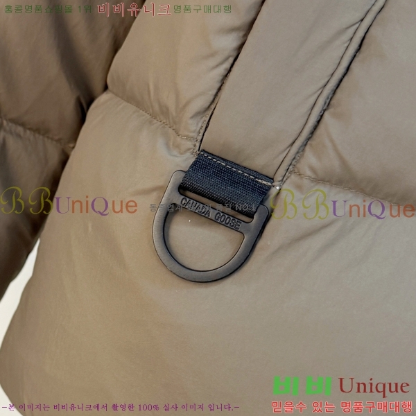  ĳٱ ٿ е CAG215558-1