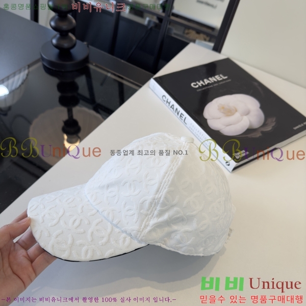 ��* ���� CH2520901-1